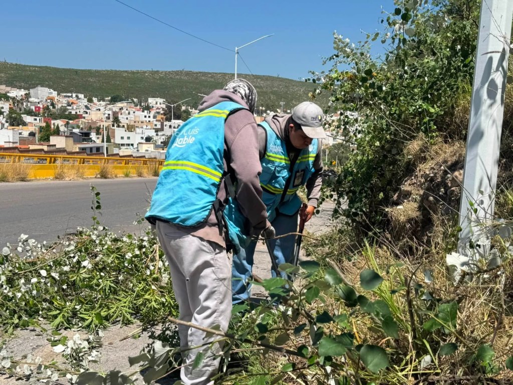 Gobierno de la Capital mantiene limpieza integral en el bulevar Antonio Rocha&nbsp;Cordero