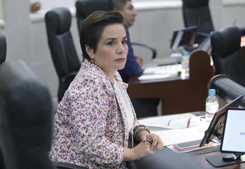 INICIATIVA BUSCA ESTABLECER SISTEMAS DE RECOLECCIÓN DIFERENCIADA DE RESIDUOS ORGÁNICOS PROVENIENTES DE ANIMALES DE&nbsp;COMPAÑÍA.