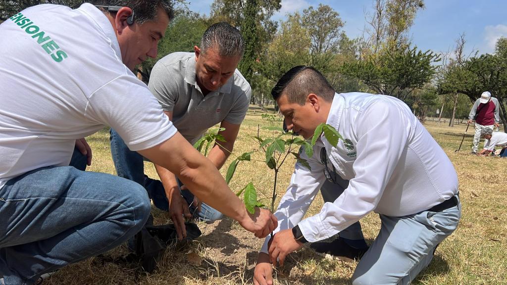 PERSONAS ADULTAS MAYORES DEJAN UN LEGADO VERDE EN EL PARQUE TANGAMANGA I