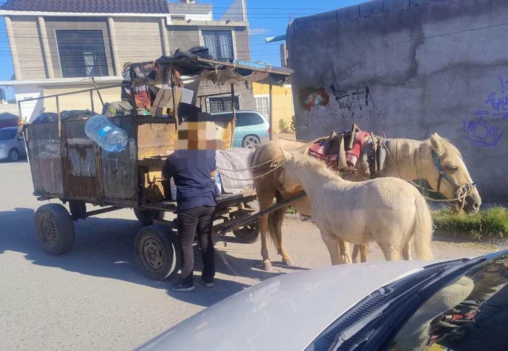 SOLEDAD DE GRACIANO SÁNCHEZ REFUERZA ACCIONES DE PROTECCIÓN ANIMAL CON INSPECCIÓN EN ZONAS&nbsp;LIMITROFES