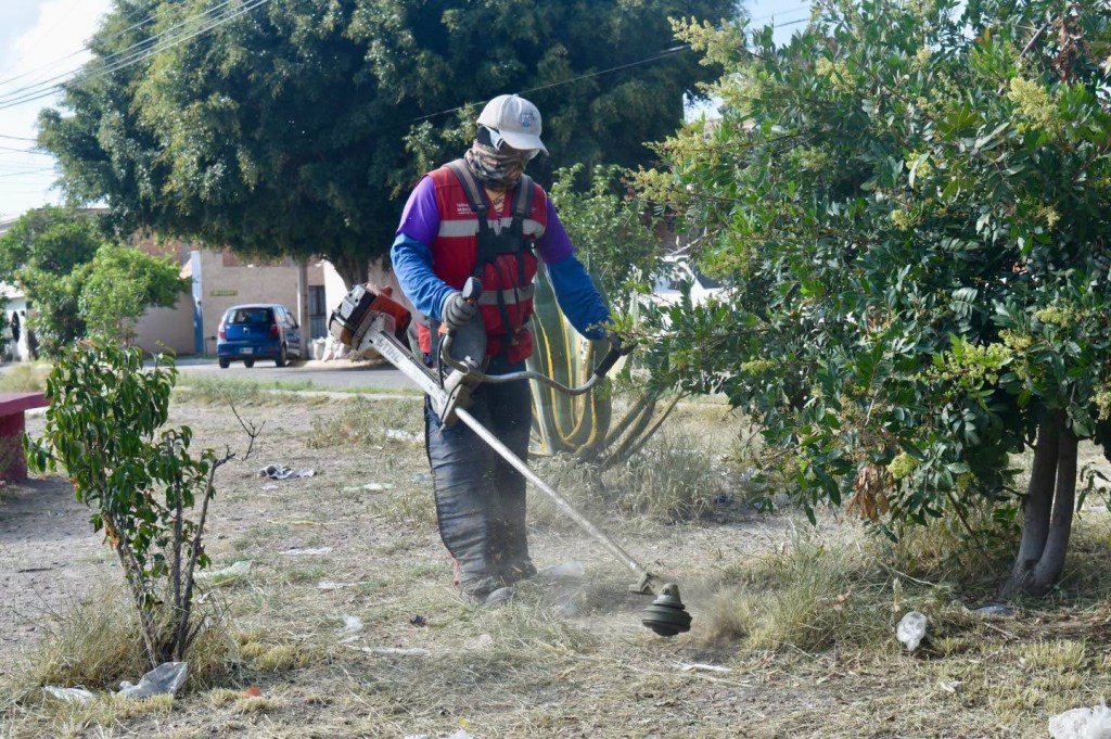 Capital al 100 programa del Gobierno Municipal llega a 682 ediciones