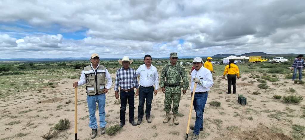 GOBIERNO DEL ESTADO REFORESTA CON ESPECIES FRUTALES Y&nbsp;MADERABLES