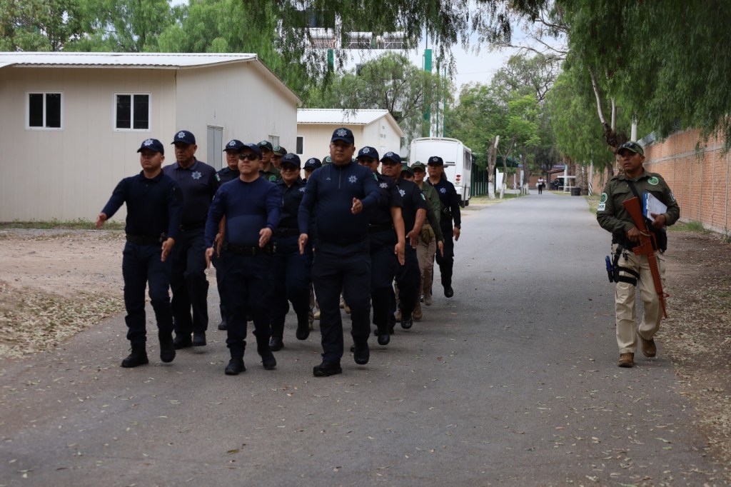 HOMICIDIOS BAJAN 95.8 POR CIENTO EN SAN LUIS POTOSÍ ENTRE 2021 Y&nbsp;2026