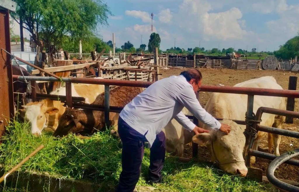 VILLA DE POZOS VIGILARÁ LOS ESPACIOS DE SALUD DE LOS ANIMALES DURANTE LA FEREPO