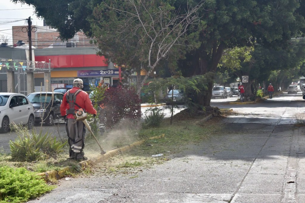 Gobierno Municipal lleva labores de limpieza y mantenimiento a Jardines del&nbsp;Estadio