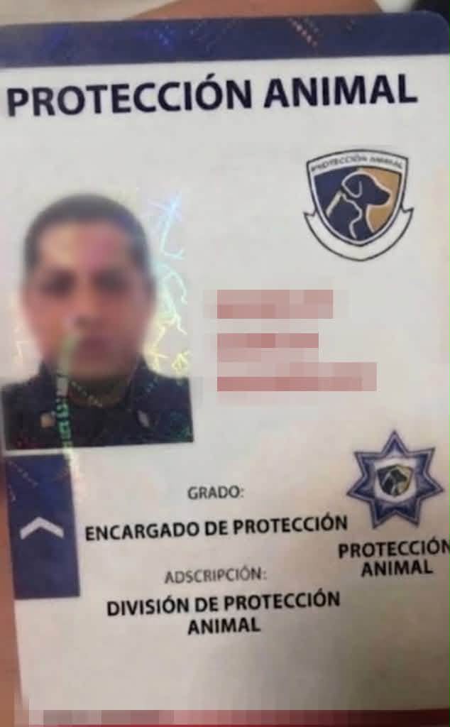 Alerta SSPC y su área de Bienestar Animal acerca de falsos gestores