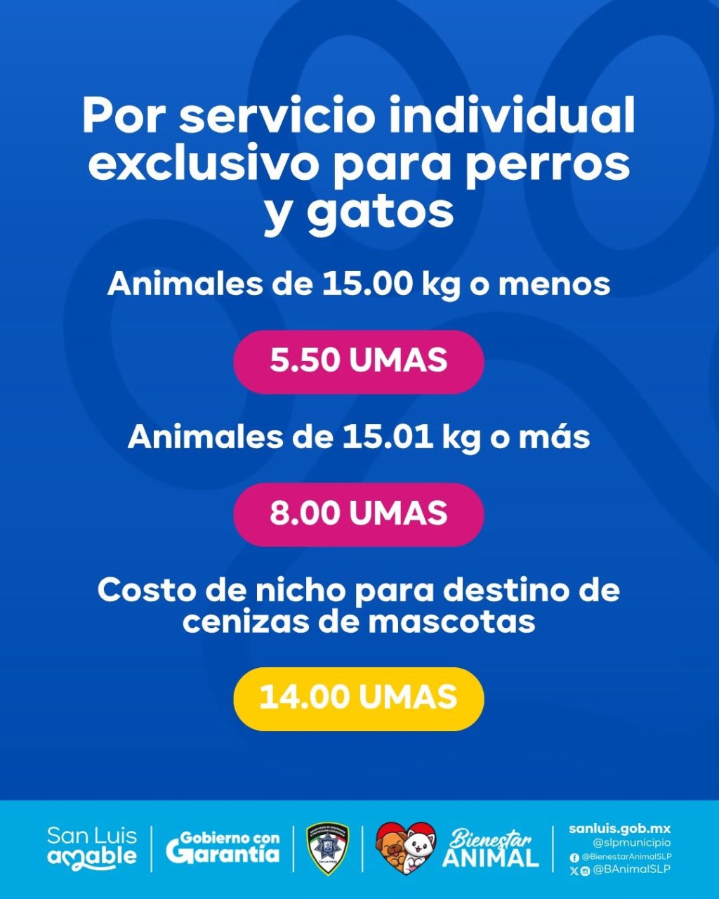 Ofrece Gobierno de San Luis Capital servicio de cremación para perros y gatos