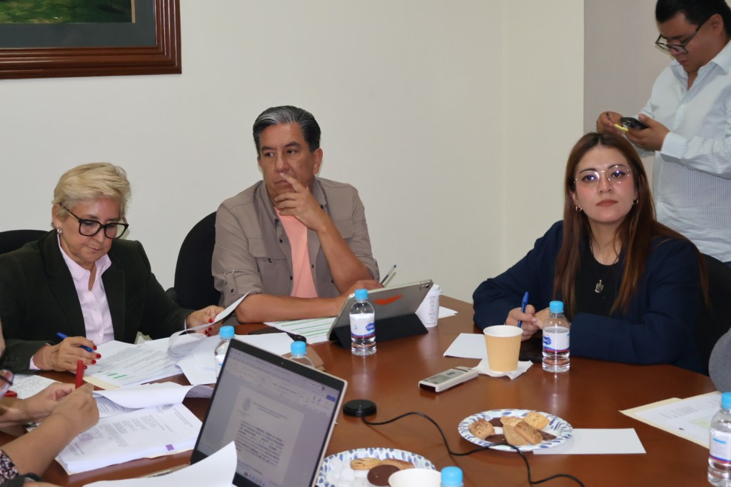 LA DIPUTADA FRINNÉ AZUARA PROPONE DETECTAR RIESGO DE DEMENCIA Y ALZHEIMER DESDE EL PRIMER NIVEL DE ATENCIÓN EN SAN LUIS&nbsp;POTOSÍ