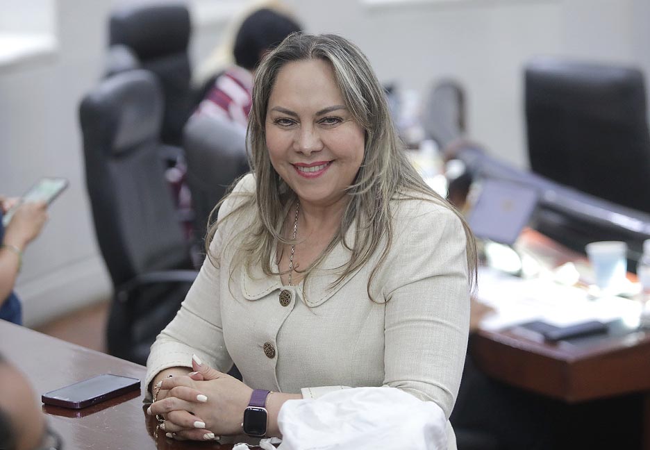 BRINDAR CAPACITACIÓN CON PERSPECTIVA DE DISCAPACIDAD E IGUALDAD SUSTANTIVA, PRIORIZANDO PROYECTOS DE MUJERES CON DISCAPACIDAD: DIP. SARA ROCHA&nbsp;MEDINA.