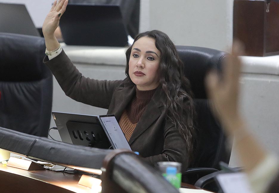INICIATIVA DE REFORMA A LA LEY DEL SISTEMA DE SEGURIDAD PÚBLICA DEL ESTADO PARA QUE, EN LOS MUNICIPIOS CON POBLACIÓN INDÍGENA SE PROCURE INCLUIR ELEMENTOS QUE CONOZCAN SU COSMOVISIÓN, CULTURA Y&nbsp;LENGUA.
