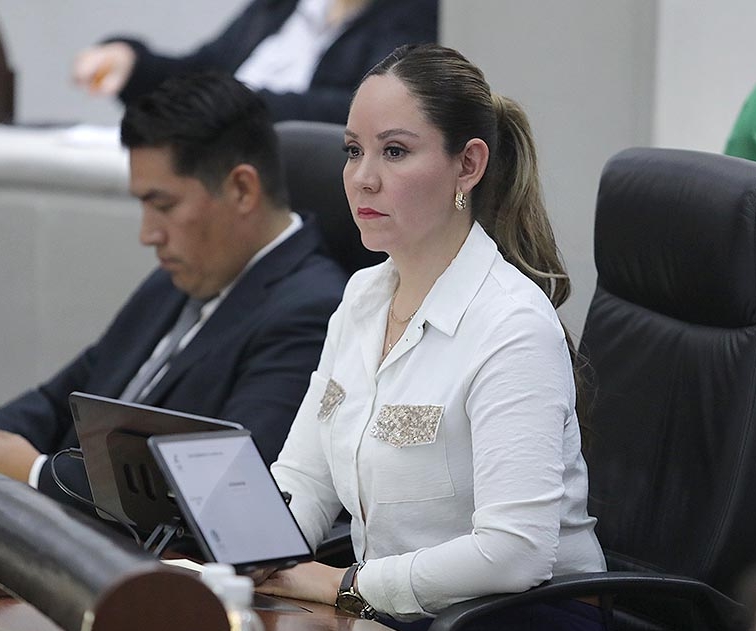 NECESARIO FORTALECER EL MARCO JURÍDICO PARA GARANTIZAR LA PROMOCIÓN Y ATENCIÓN DE LA SALUD MENTAL EN SAN LUIS POTOSÍ