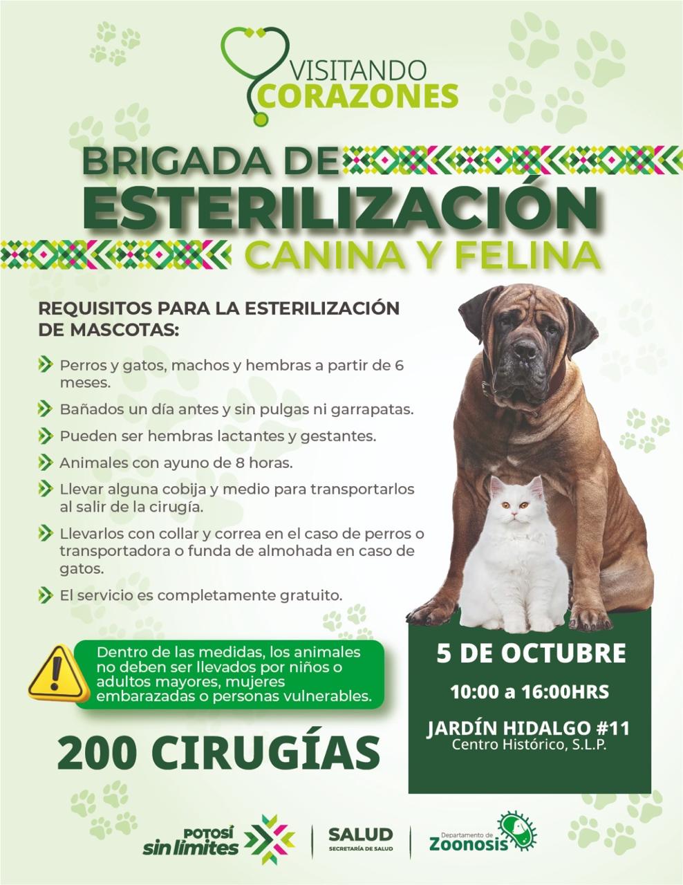 MEGAJORNADA GRATUITA OFRECERÁ 200 ESTERILIZACIONES Y VACUNACIÓN&nbsp;ANTIRRÁBICA