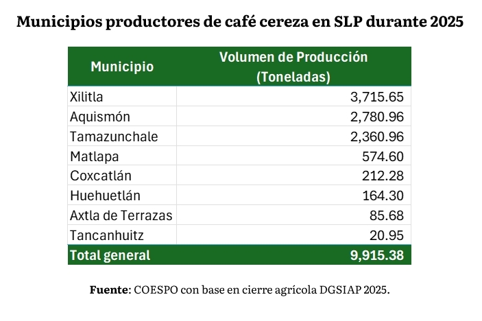 SAN LUIS POTOSÍ SE UBICA ENTRE LOS PRINCIPALES PRODUCTORES DE CAFÉ DEL&nbsp;PAÍS
