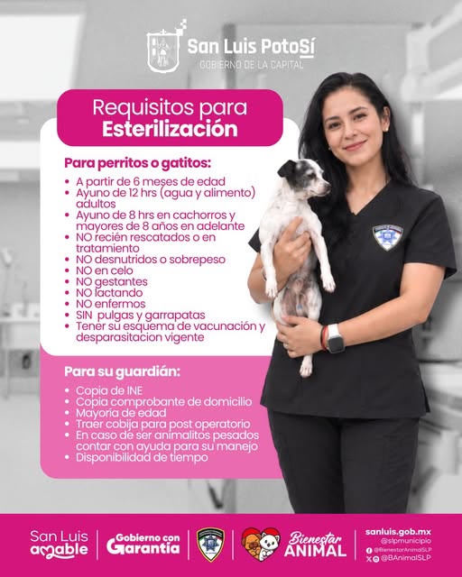 Gobierno de la Capital ofrece esterilizaciones mediante el Centro Integral para el Bienestar&nbsp;Animal