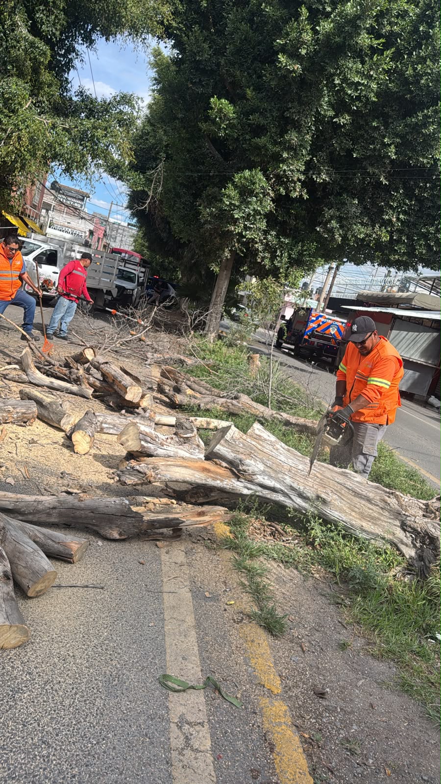 Gobierno Municipal actúa de inmediato para retirar árboles caídos y reactivar circulación en Prolongación&nbsp;Muñoz