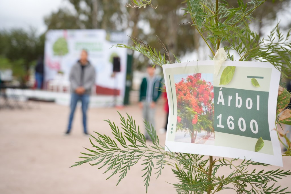 VILLA DE POZOS AVANZA HACIA UN MUNICIPIO MÁS VERDE CON LA PLANTACIÓN DE MIL 600 ÁRBOLES