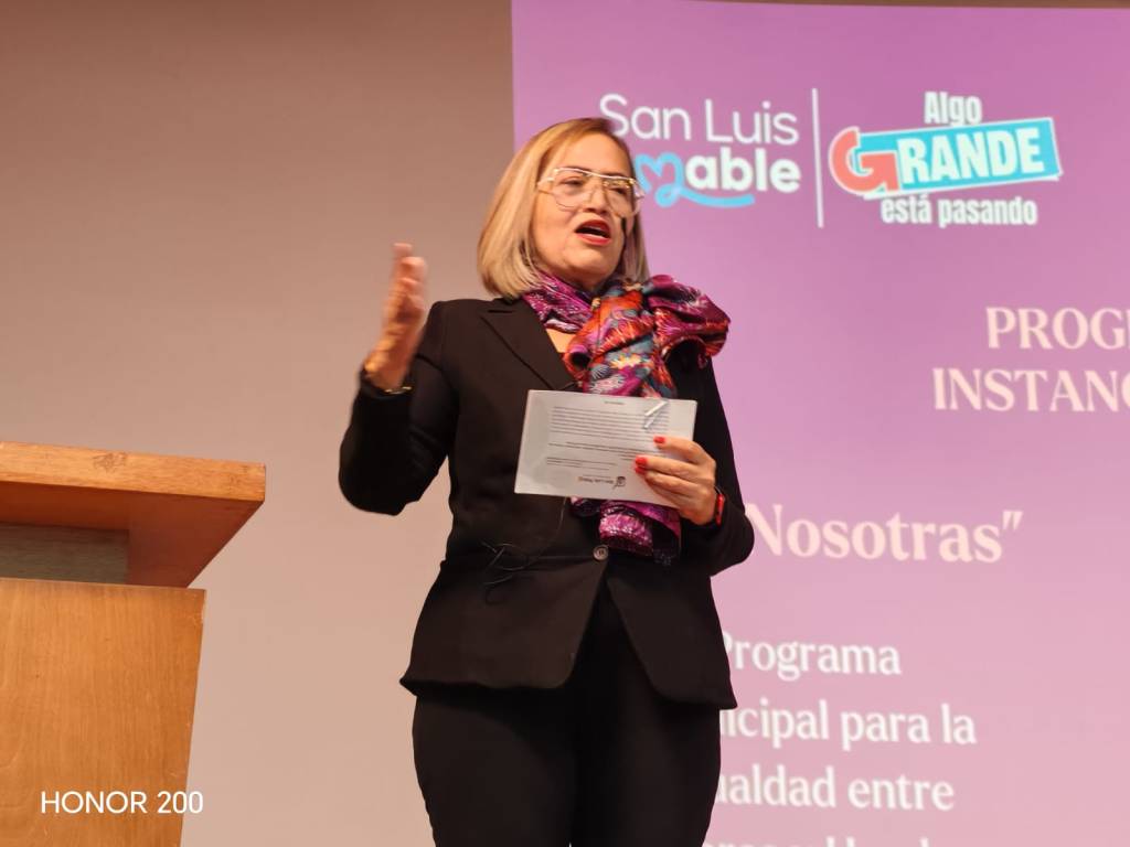 San Luis Capital reduce la violencia familiar y registra la cifra anual más baja de feminicidios desde 2015