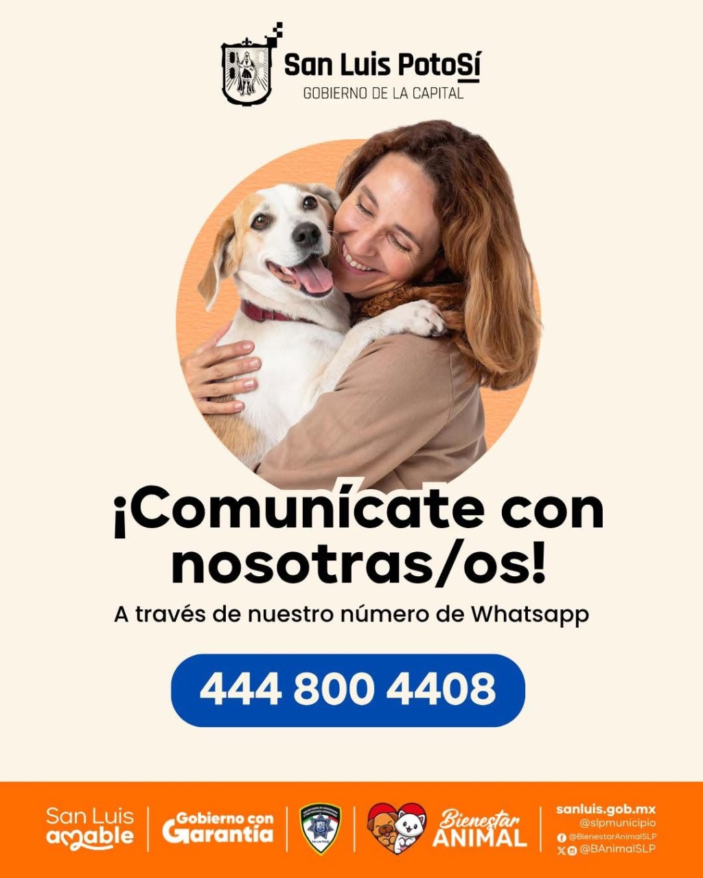 Gobierno Municipal habilita WhatsApp para ampliar la atención de Bienestar Animal