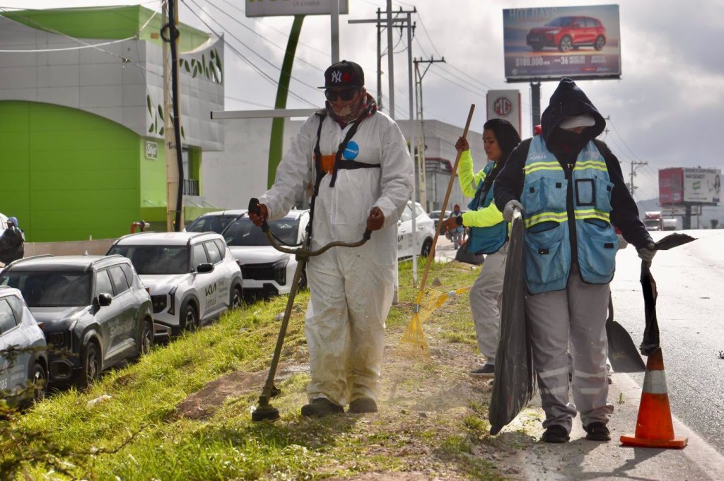 Gobierno de la Capital refuerza mantenimiento del bulevar Antonio Rocha&nbsp;Cordero