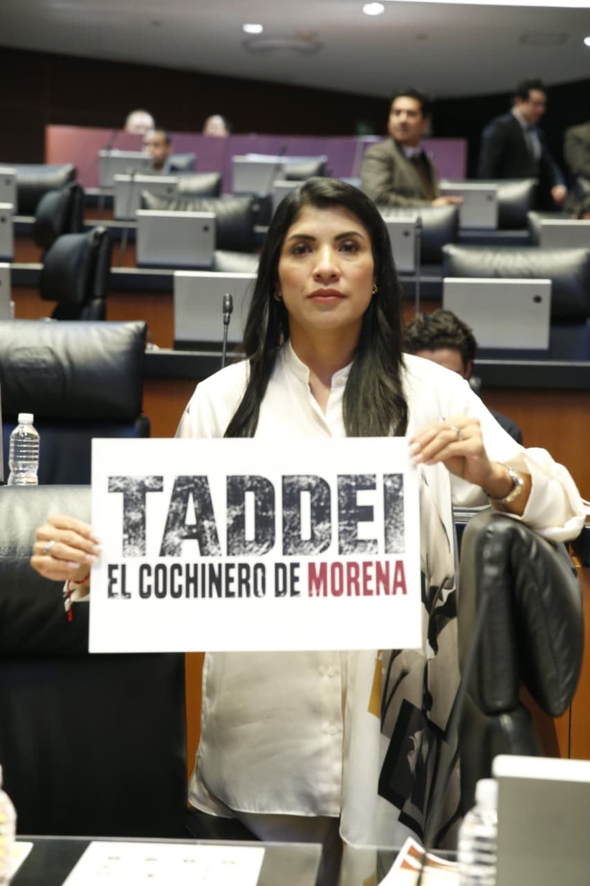 “El cochinero de Morena provocó la crisis del INE”: Vero Rodríguez