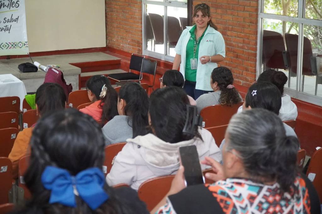 ATENCIÓN DE SALUD MENTAL EN COMUNIDADES&nbsp;INDÍGENAS