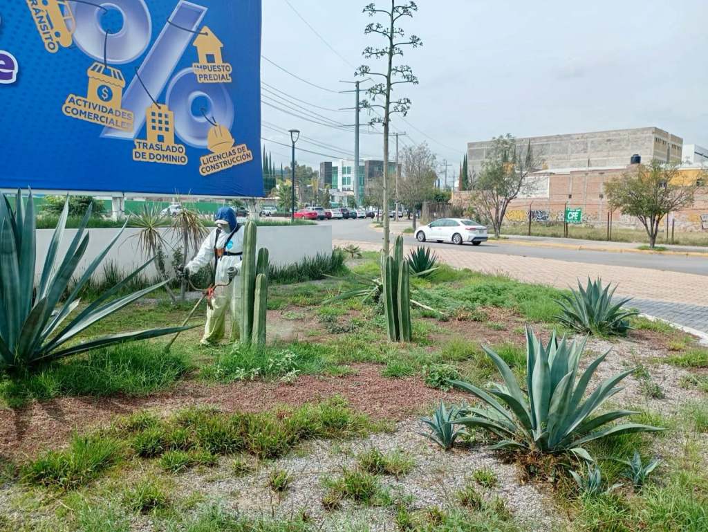 Gobierno Municipal refuerza limpieza en Himalaya y&nbsp;Chapultepec